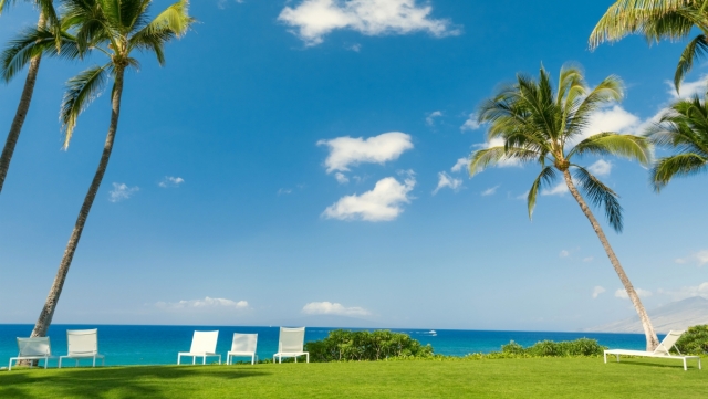 2023年度热梗盘点！5G冲浪人来考试辣~ 尊嘟假嘟？！你竟然获得了100分！